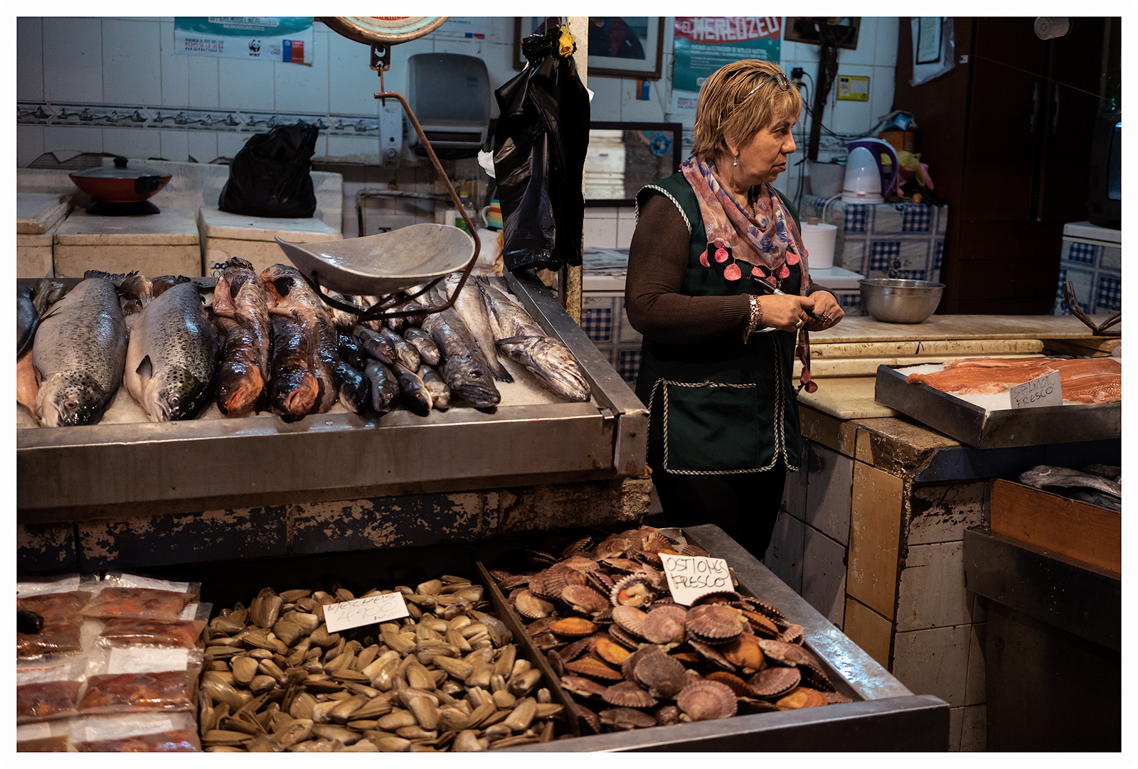 Santiago, Chile 2017- Fish Market