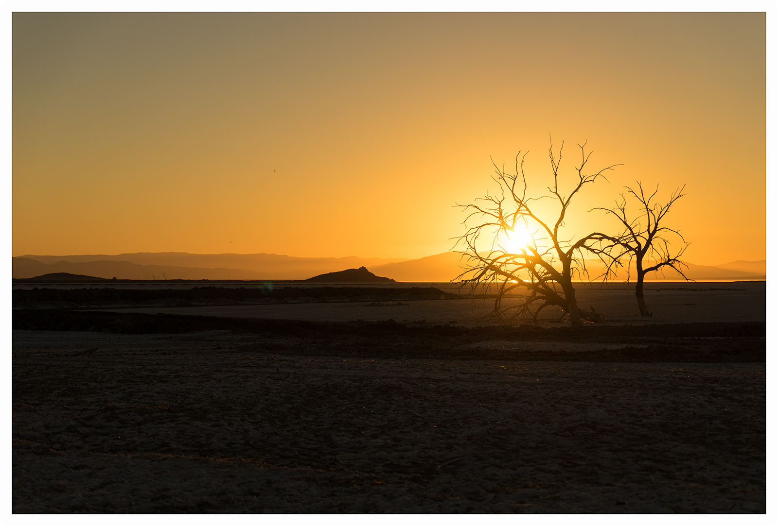 Salton Sea, CA 2016