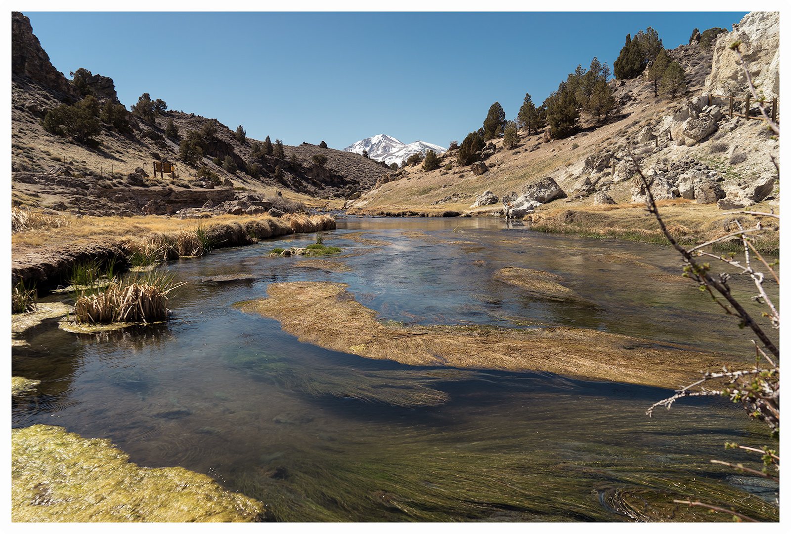 Hot Creek, CA 2016