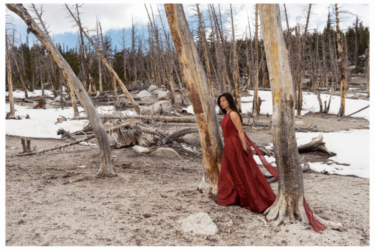 Among the Trees 2016